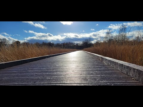 Wanderung durch den Moorerlebnispfad / Wandern oder Spazieren ???