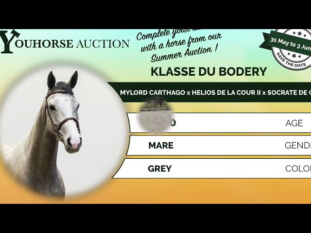 Klasse Du Bodery trainingsvideo