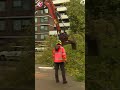 Boom valt op voetganger | #shorts