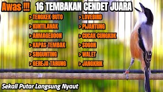 Download lagu PANCINGAN CENDET FULL ISIAN MEWAH AMPUH BIKIN CENDET MANAPUN AUTO NYAUT mp3