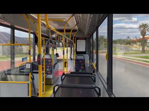 Transperth TP3231 - Volvo B8RLE (ZF EcoLife)