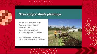 2025 HGW: Growing Native - How to install and maintain native habitats