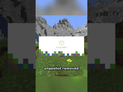 camman18 - when minecraft removed the inventory... (april fools 2022)