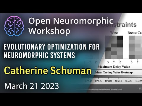 Evolutionary Optimization for Neuromorphic Systems - Catherine Schuman, University of Tennessee