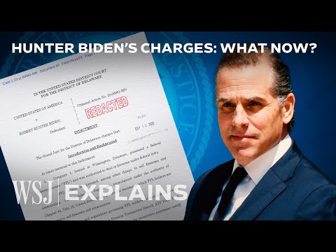 Hunter Biden’s Legal Troubles, Explained A Gun, Unpaid Taxes and More WSJ