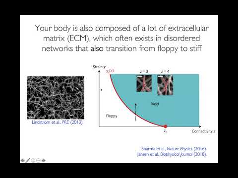 March 29, 2021: Lisa Manning