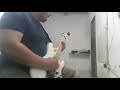 P.O.D - Murdured Love