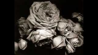 Malika Ayane - Occasionale