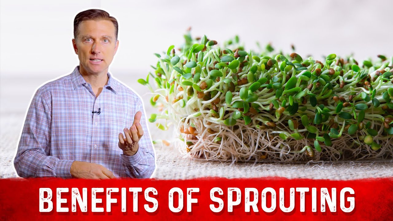 Nutritional Benefits of Sprouts Explained By Dr. Berg - YouTube
