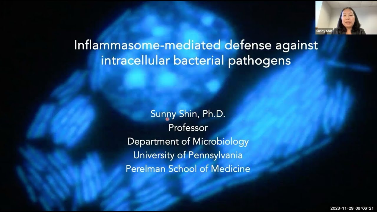 "Innate immune defense against intracellular bacterial pathogens" by Dr. Sunny Shin