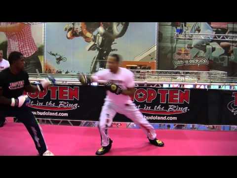 Raymond Daniels: Attack and Defense Techniques