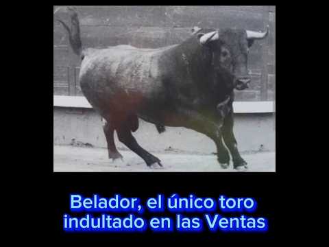 TOROS DE LA QUINTA PARA CASTELLÓN EL 23-03-2025