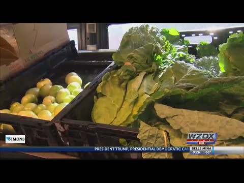 Using food stamps to buy vitamins