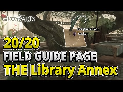 All 20 Field Guide Page in The Library Annex (EASY GUIDE +TIMESTAMPS) | Hogwarts Legacy