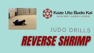 Reverse Shrimp Exercise (Escape work)