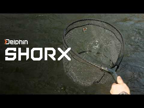 Delphin SHORX