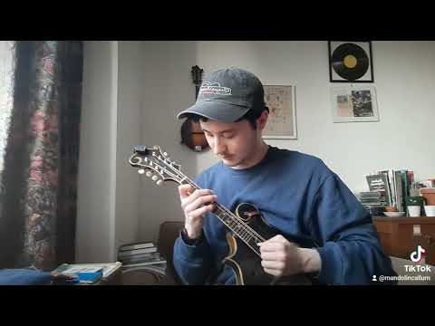 Tipsy Gypsy by David Grisman