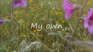 LOBO  * * *  Dream lover * * (lyrics ) *