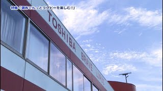 特集「調布でもっとラグビーを楽しむ!」1「東芝ブレイブルーパス」