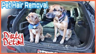 DEEP CLEANING a PET HAIR INFESTED Jeep (Owner Reaction) | Full Interior Car Detailing Transformation