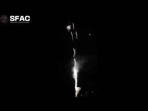 SFAC Shoot the rats - 49 skud / 25 mm. www.krudtogkrudt.dk