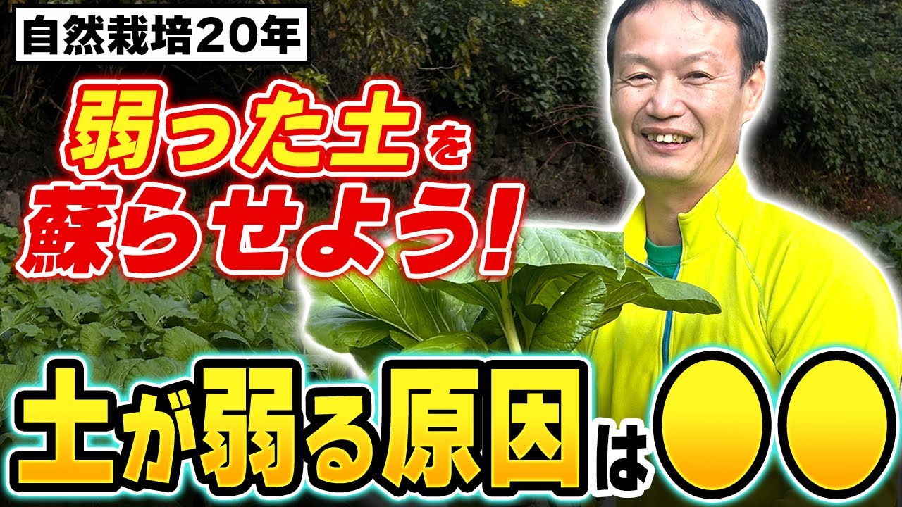 【自然栽培407】土を蘇らせるよ!🌈