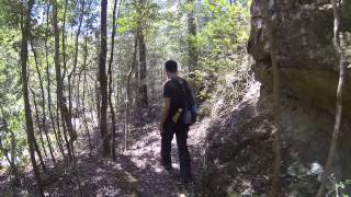 preview picture of video 'Short video of bushwalking in Blue Mountains'