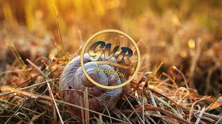 Nessly - SLOWLY Ft. Lil Yachty &amp; Yung Bans