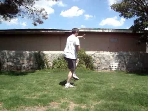 Gao Bagua Palm Changes