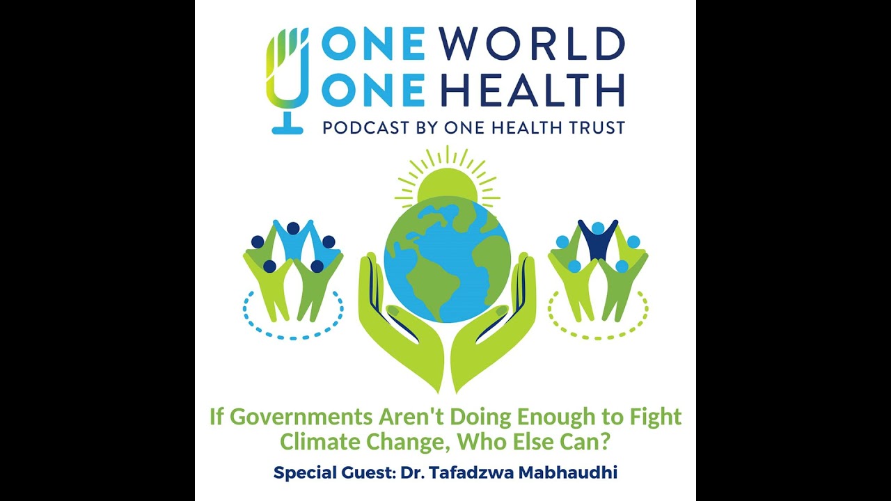 If Governments Aren't Doing Enough to Fight Climate Change, Who Else Can?