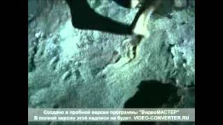 Dido   I&#39;m No Angel (NO ANGEL) YEAR 1999