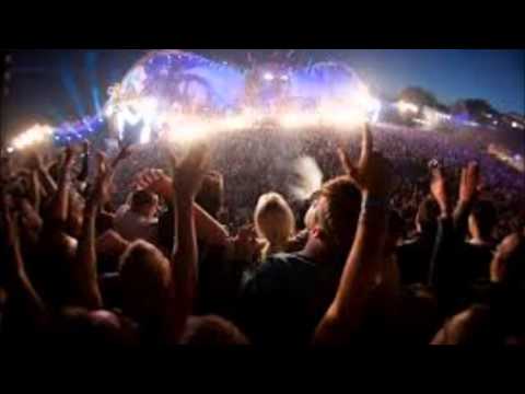 Martin garrix vs New world sound & Thomas newson- @flutetheanimals (dj dario di mauro mashup)