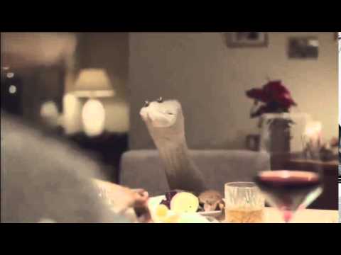 Geschenkidee.de -- Socken Zu Weihnachten -- Die Trockene Gans