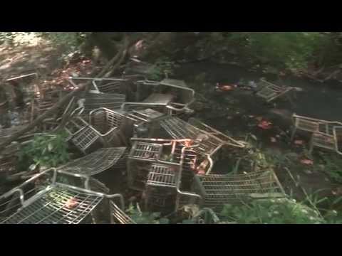 Wild & Shit with Evan Wilder 26 • Behind The Acme In Medford, NJ