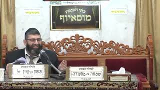 ✨️הרב אייל עמרמי✨️ פרשת ויקהל✨️ מוסאיוף (בית הכנסת מוסאיוף - ערוץ חדש) - התמונה מוצגת ישירות מתוך אתר האינטרנט יוטיוב. זכויות היוצרים בתמונה שייכות ליוצרה. קישור קרדיט למקור התוכן נמצא בתוך דף הסרטון