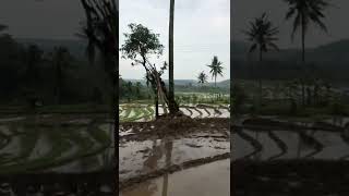 Download lagu Angel move on 😩🌿 mp3