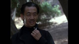 'Death Ring' (1992) Epic Mike Norris vs George Cheung battle! video