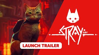 Vidéo de Stray