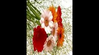 Caridade e amor - Livro dos Espiritos