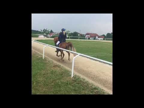 V2 - Carina Mayerhofer