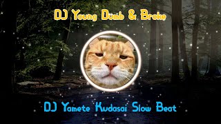 Download lagu DJ Young Dumb & Broke Slow Beat - Viral Remix 2021 mp3
