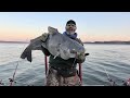 TOP 5 BIGGEST BLUE CATFISH CAUGHT ON YOUTUBE Compilation