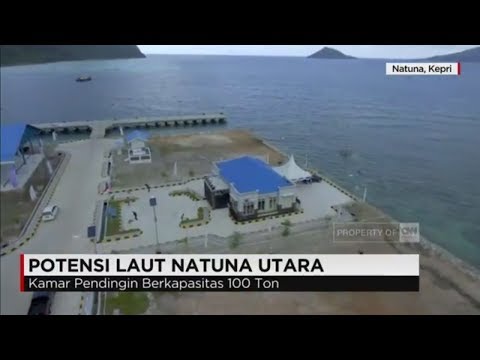 Bagaimana mencapai potensi lestari Untuk meningkatkan potensi Anda butuhkan