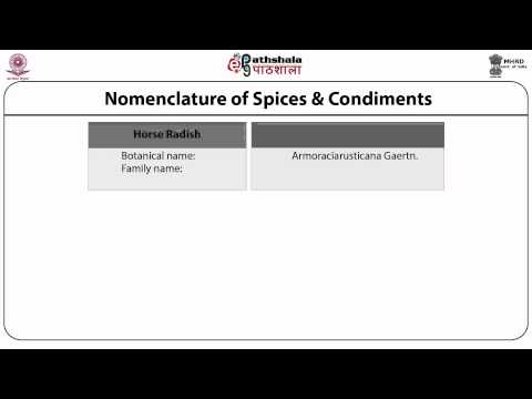 download lagu mp3 mp4 Classification Of Spices, download lagu Classification Of Spices gratis, unduh video klip Classification Of Spices
