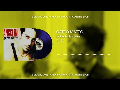 Gatto matto - Roberto Angelini
