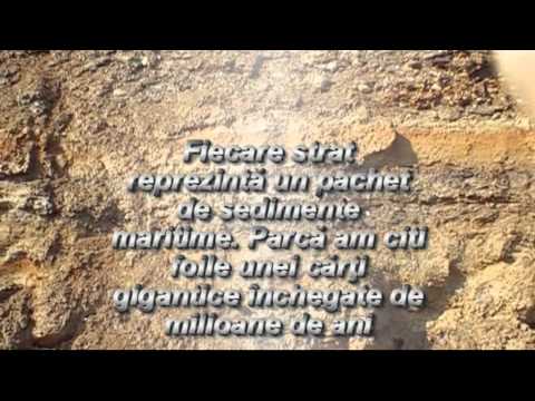 Roşcani-Dobra. Coralii şi amoniţii din vârful dealului.wmv