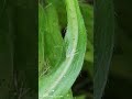 Jab Se Dekha Tum Ko