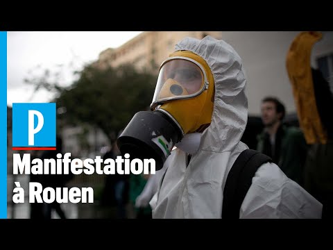 Lubrizol : des milliers de Rouennais manifestent pour réclamer « la vérité » Video