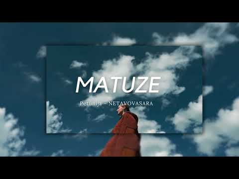 Petunija - NETAVOVASARA (Matuze Remix)