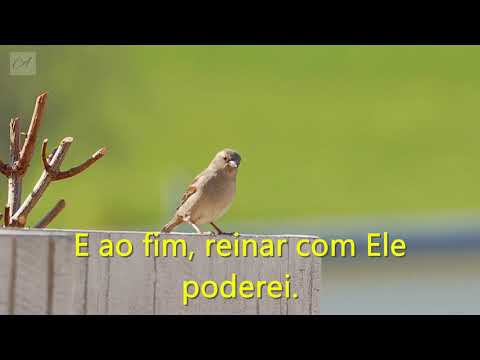 CCB Hino 58 - Sou crente em Jesus (Cantado e Legendado) Hinário 5